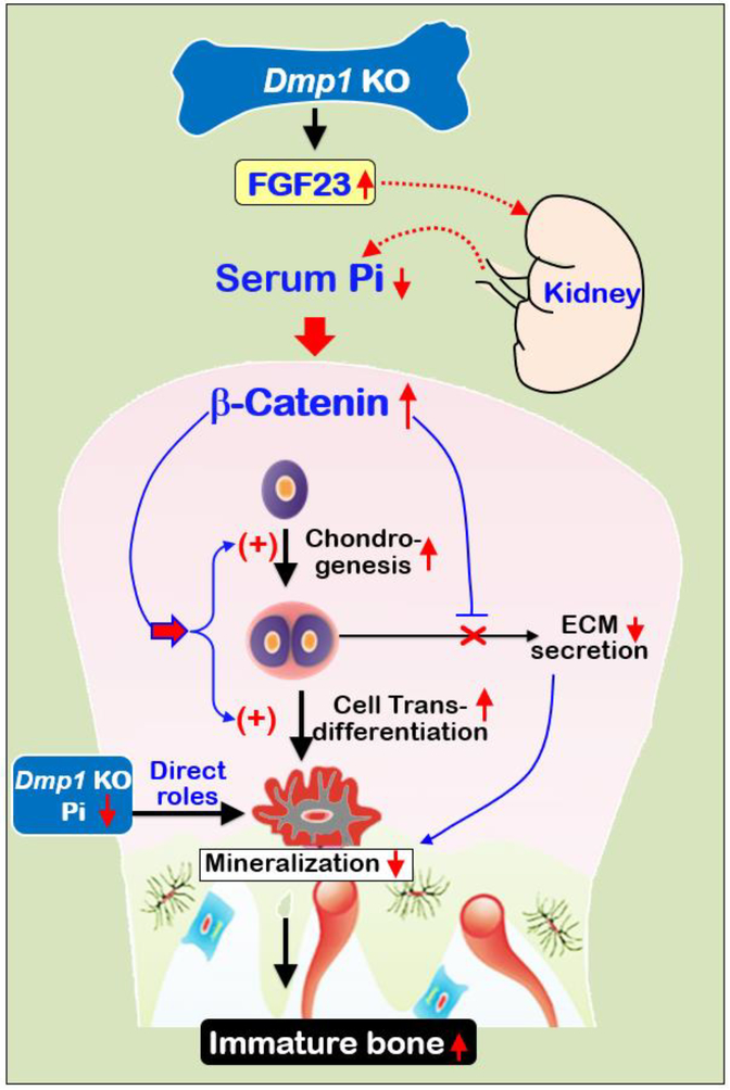 Fig. 9