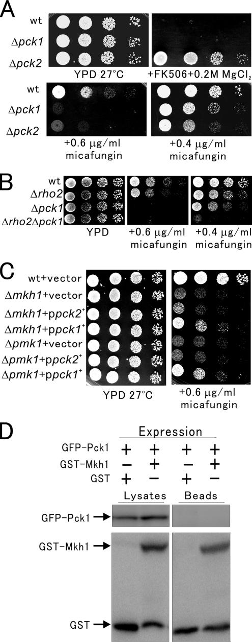 Figure 5.