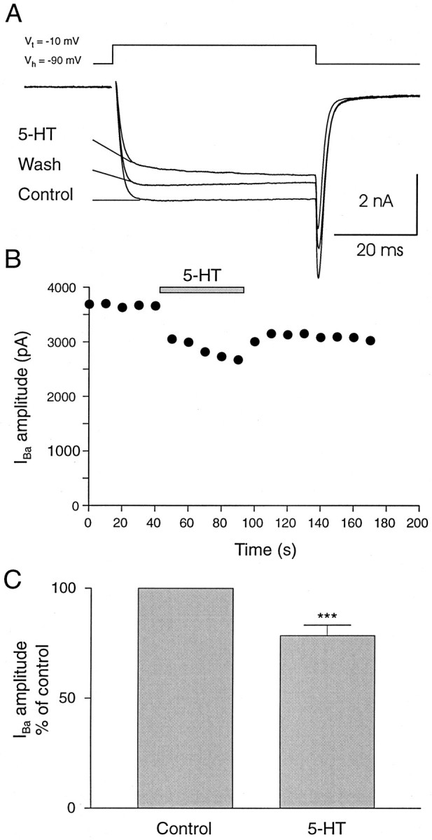 Fig. 7.