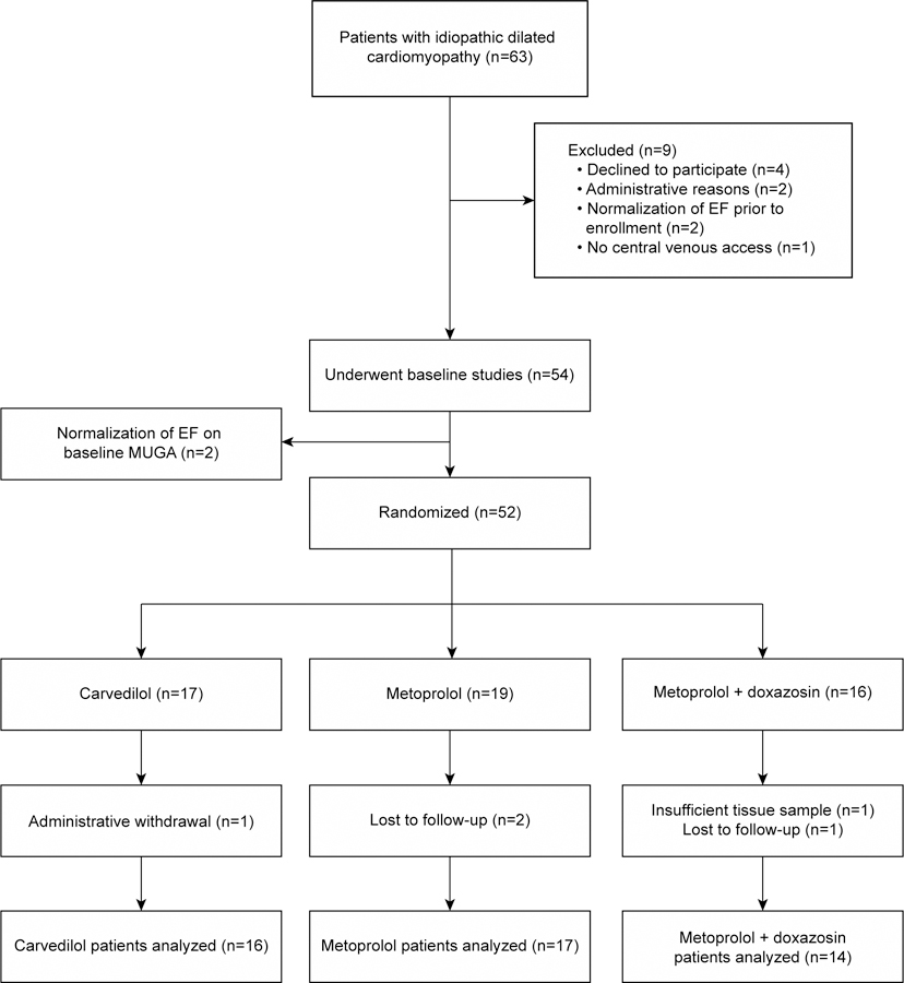 Figure 1 –