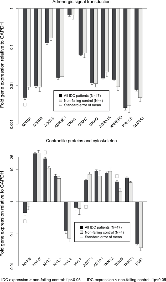 Figure 2a –