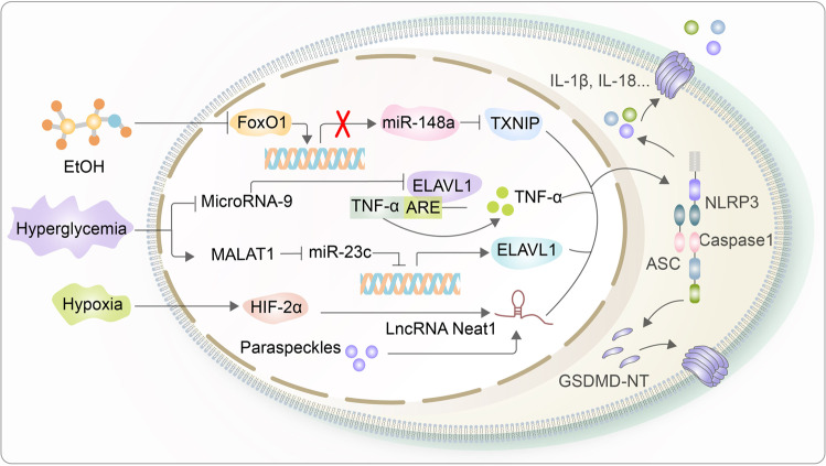 Fig. 7