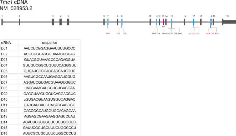 Figure S1.