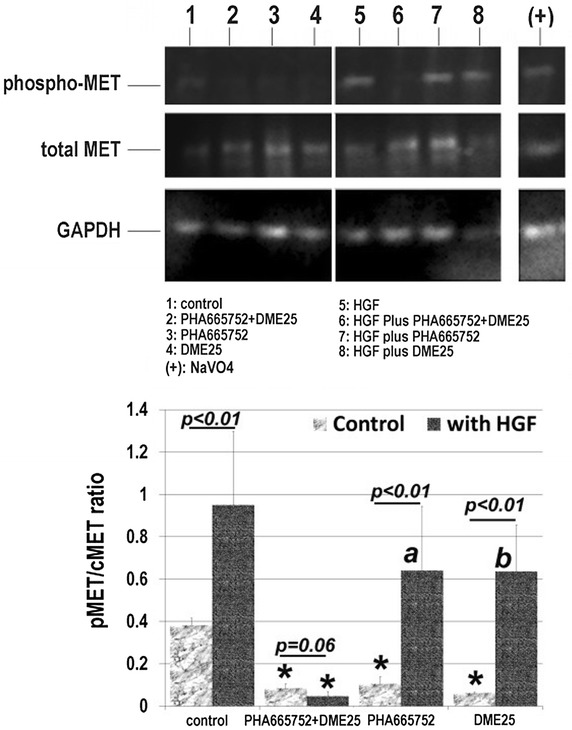 Fig. 5