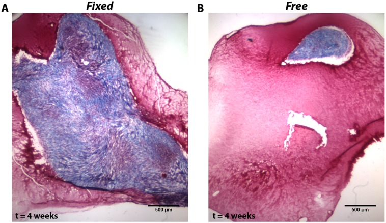 Fig 10