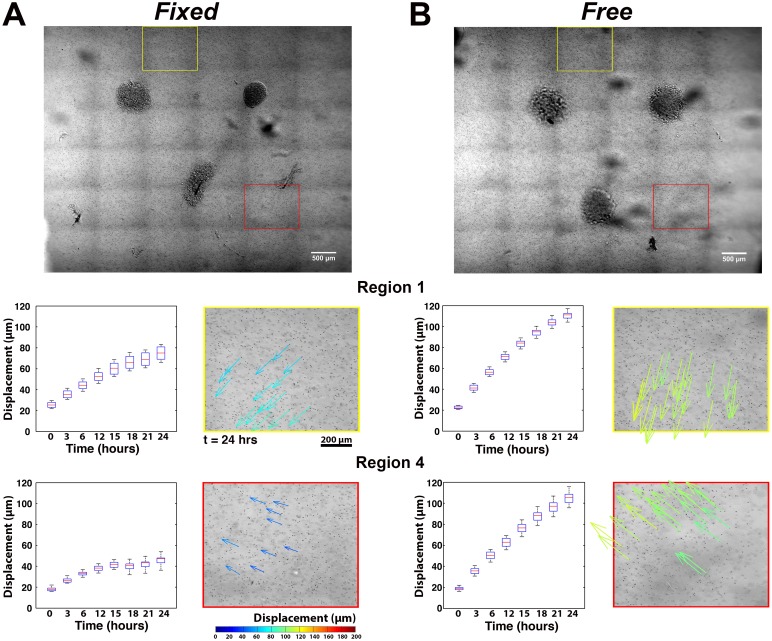 Fig 6