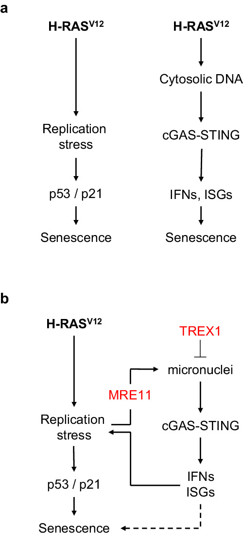 Fig. 8