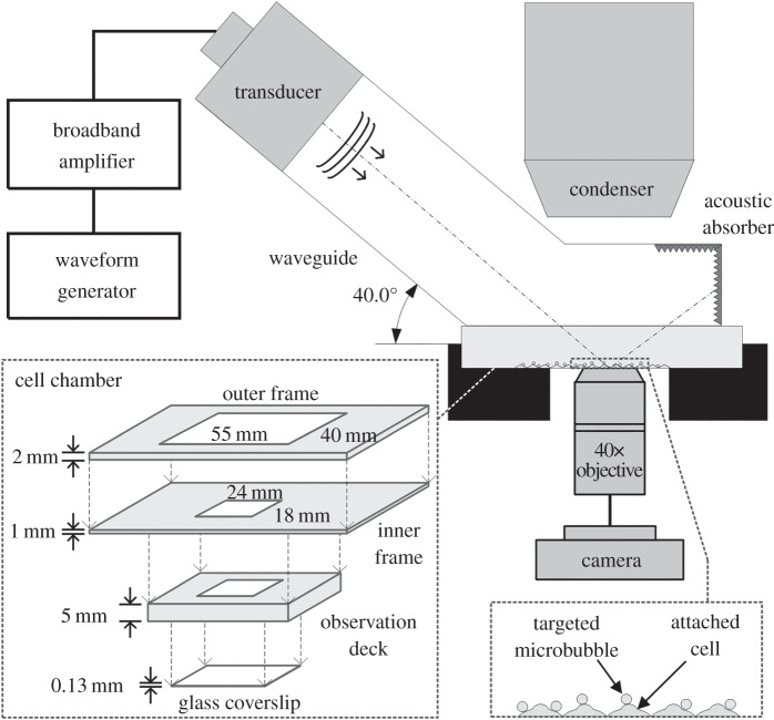 Figure 1.