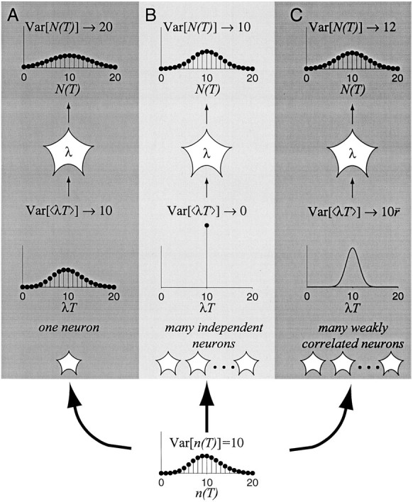 Fig. 12.