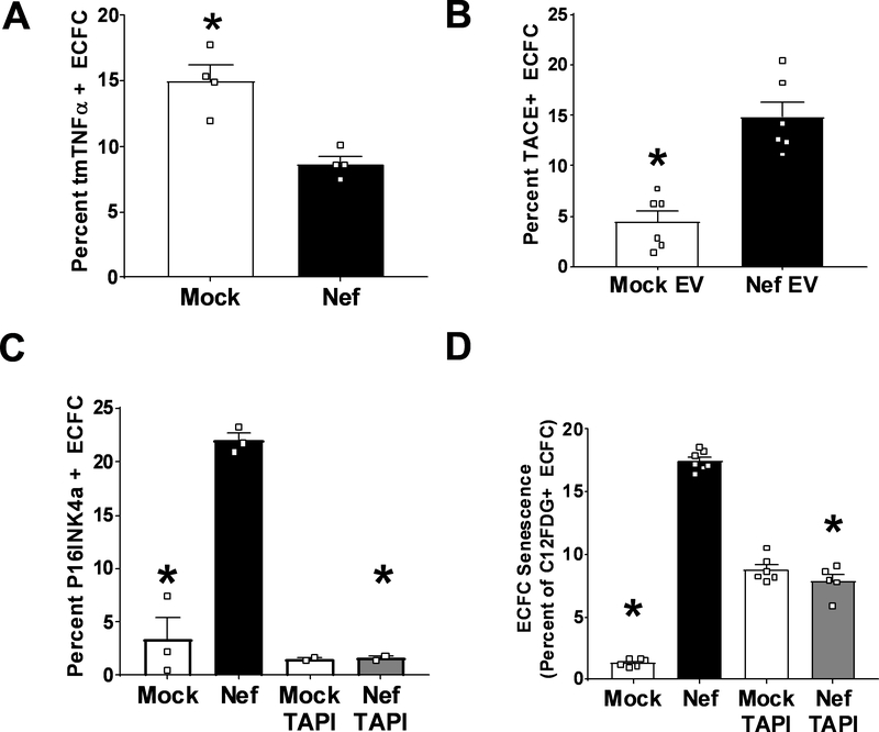 Figure 6: