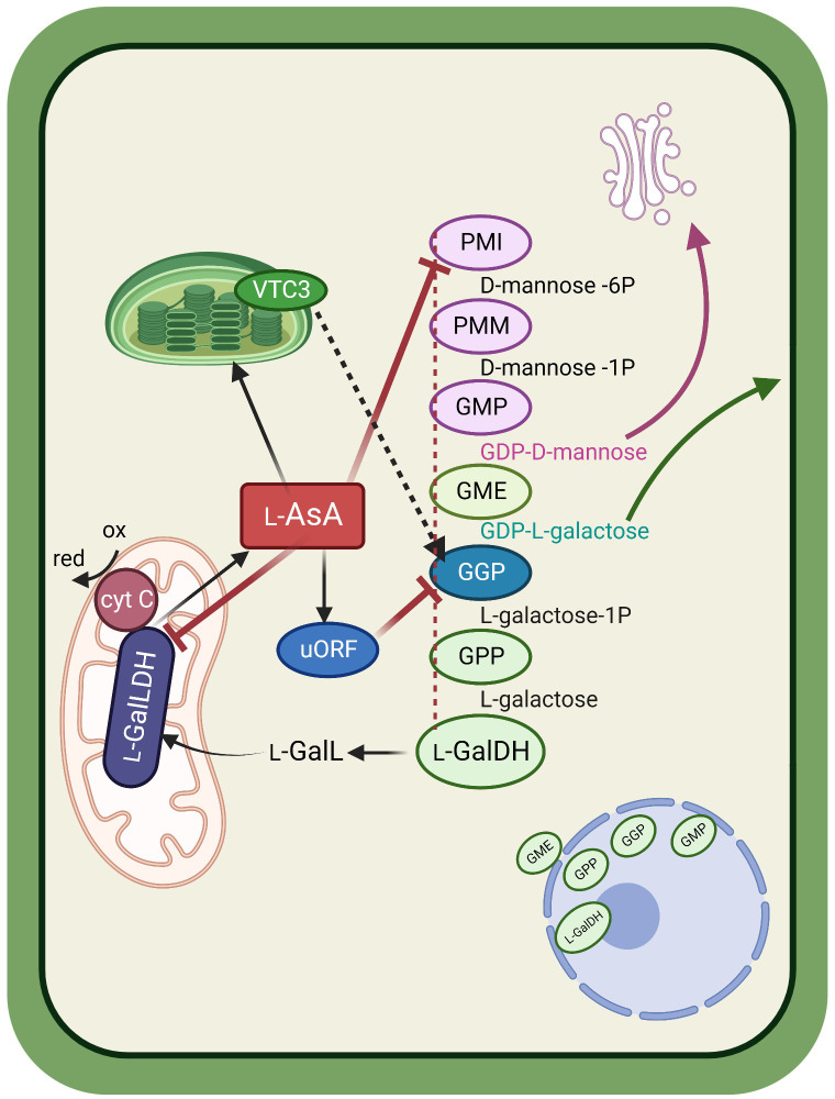 Figure 2