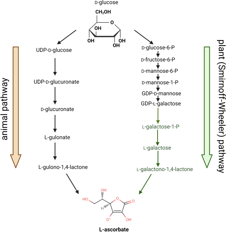 Figure 1