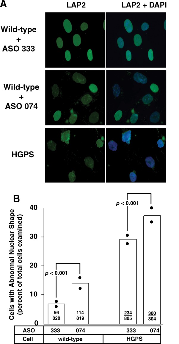 Figure 5.