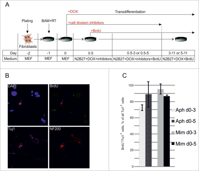 Figure 3.