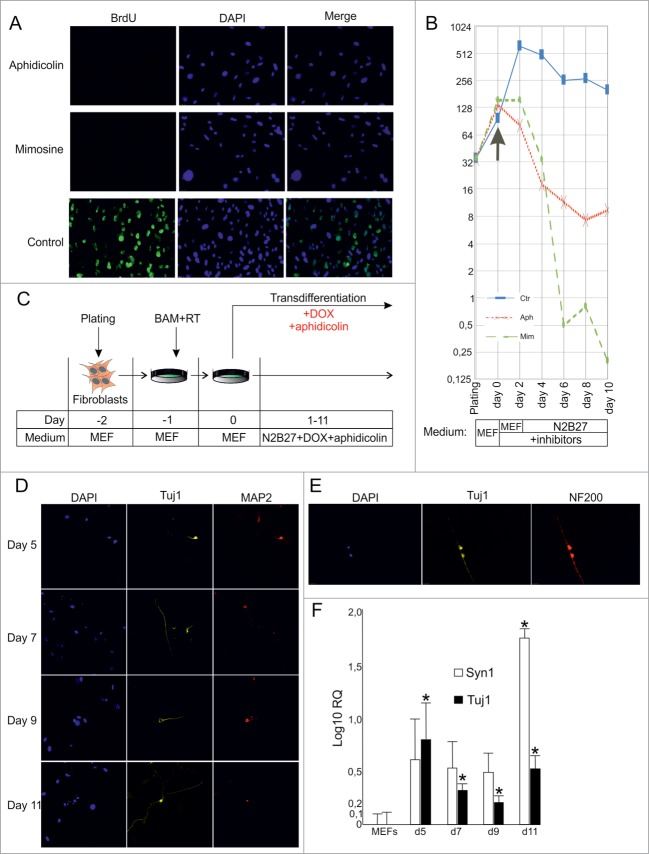 Figure 2. (See previous page)