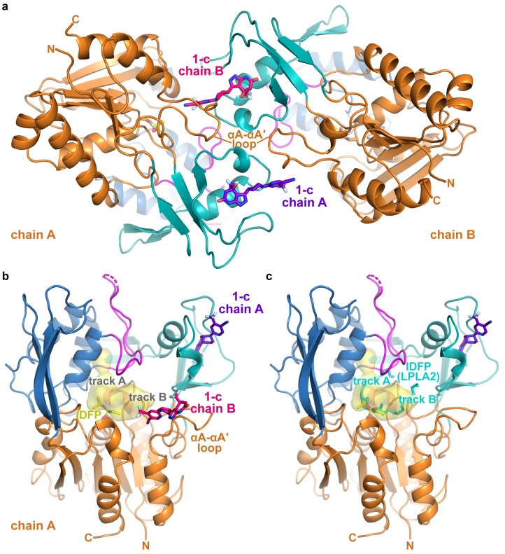 Figure 2—figure supplement 3.