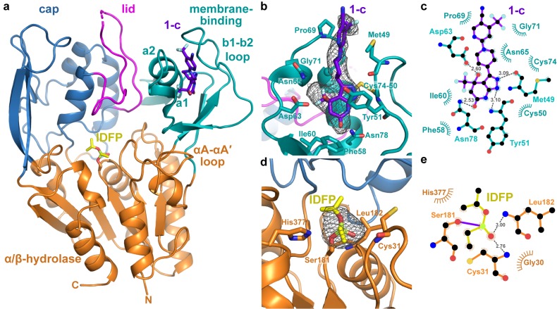 Figure 2.