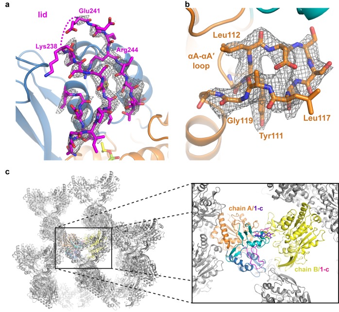 Figure 2—figure supplement 1.