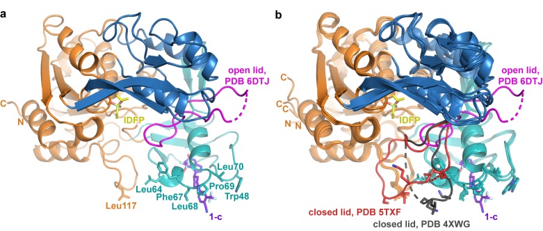 Figure 6—figure supplement 1.