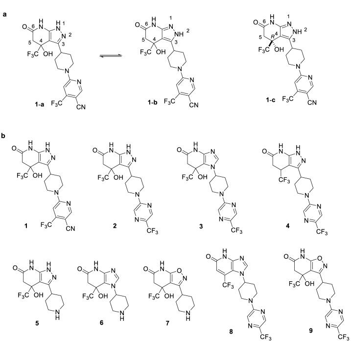 Figure 2—figure supplement 2.