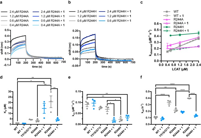 Figure 4—figure supplement 2.