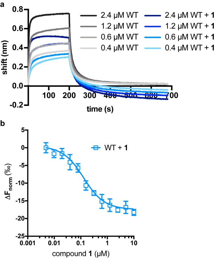 Figure 1—figure supplement 1.