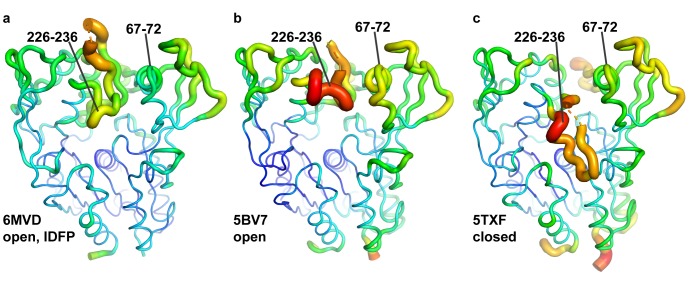 Figure 3—figure supplement 1.