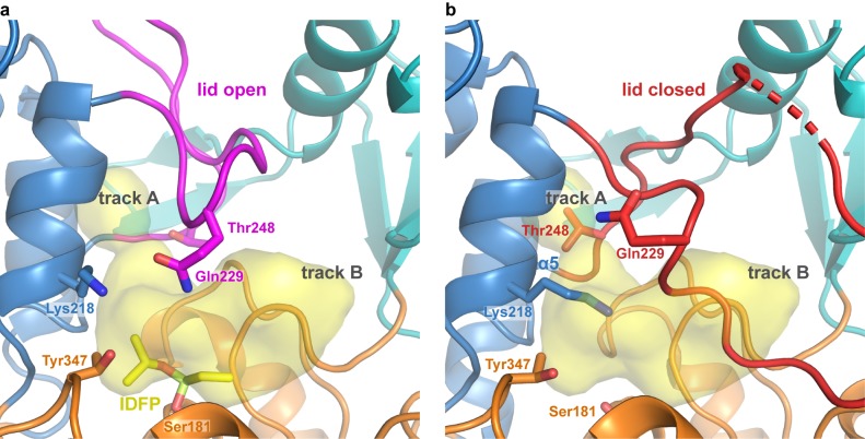 Figure 3—figure supplement 2.