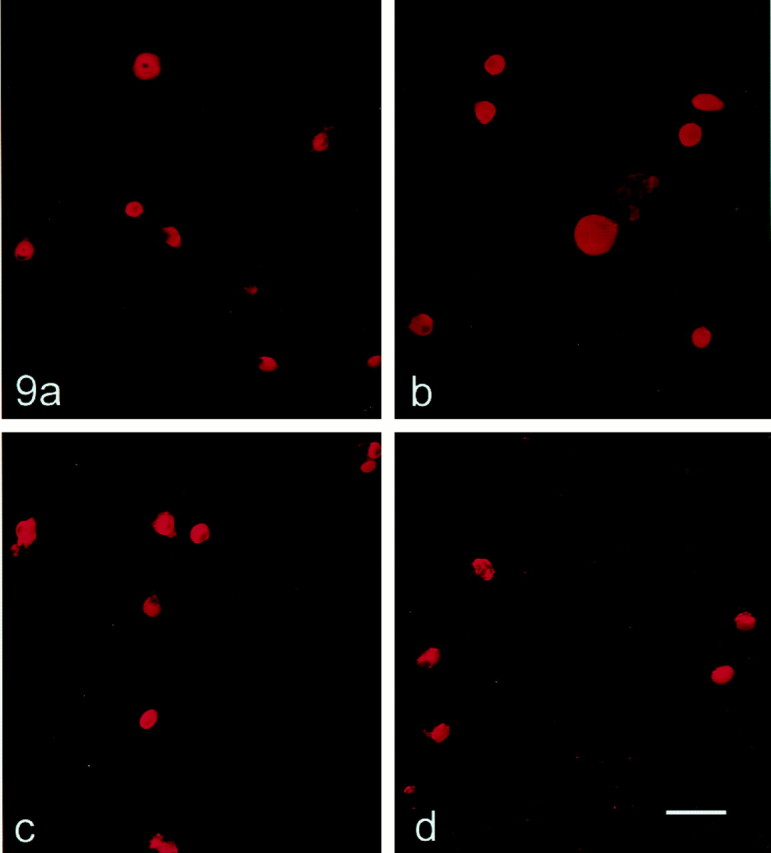 Fig. 9.