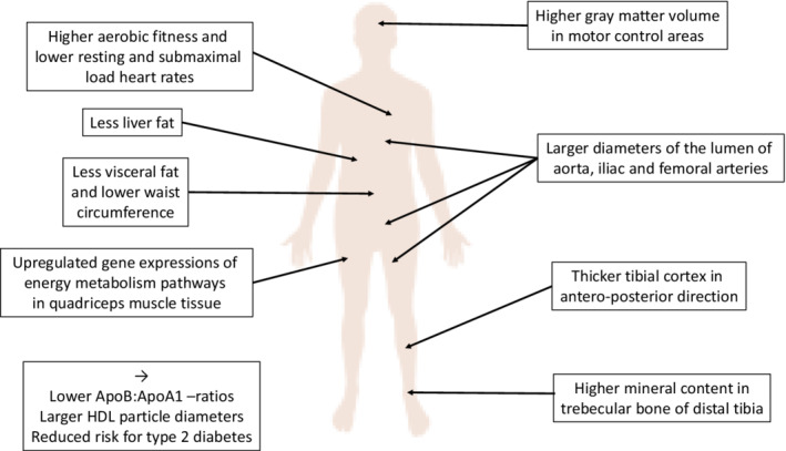 FIGURE 2