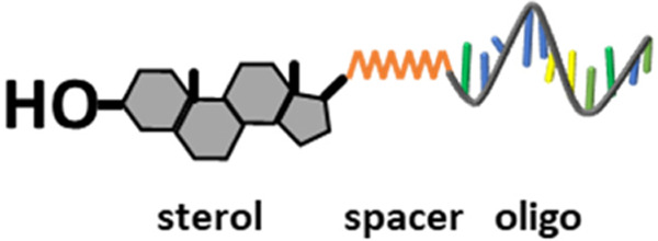 graphic file with name nihpp-2023.12.19.572427v1-f0002.jpg