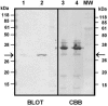 FIG. 7.