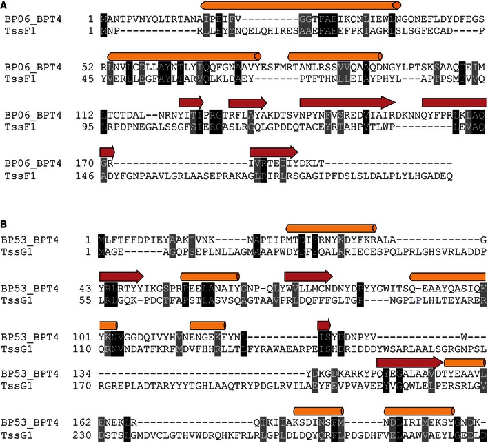 Figure EV3