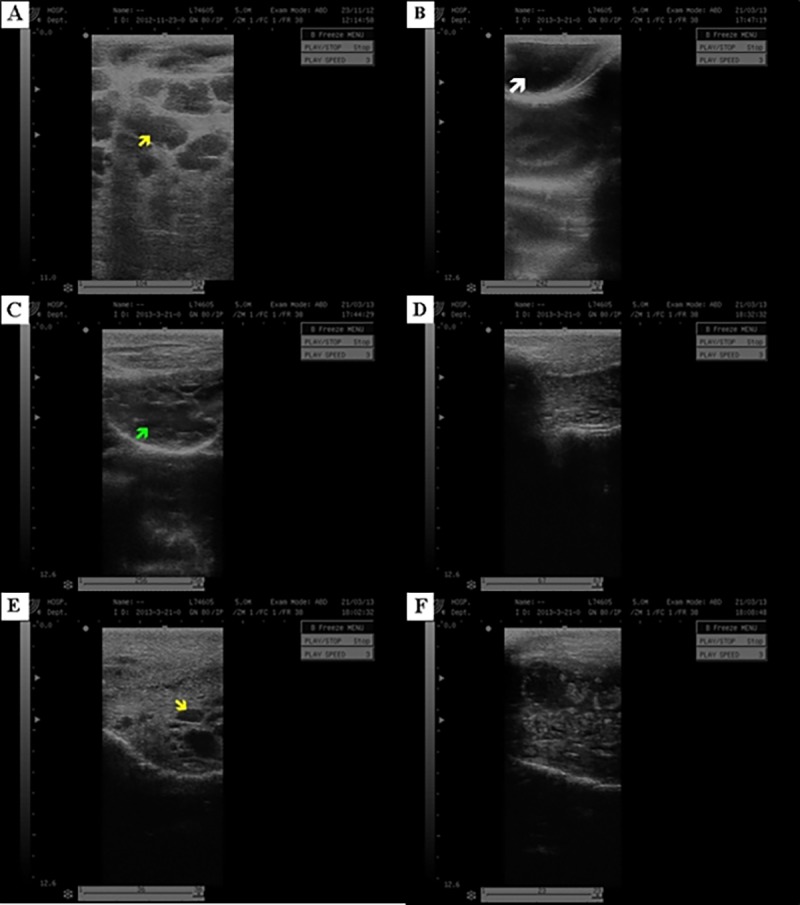 Fig 3