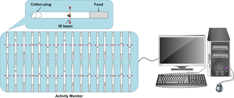 Fig. 1