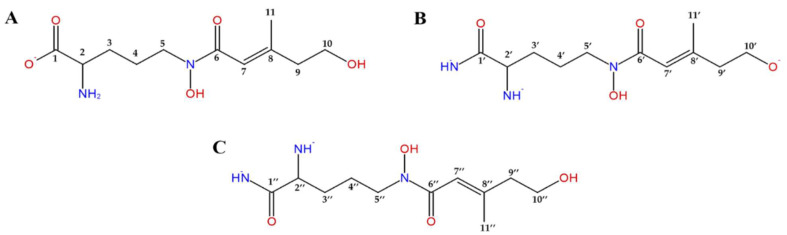 Figure 6