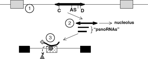 Figure 6.