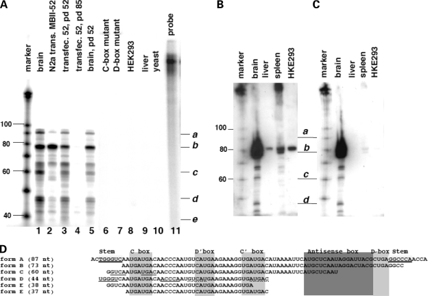 Figure 4.