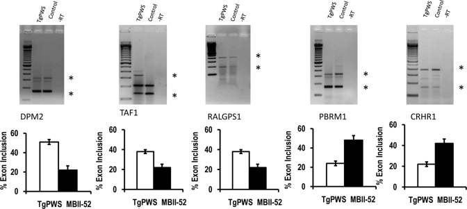 Figure 3.