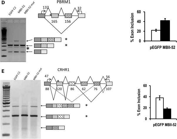 Figure 1.