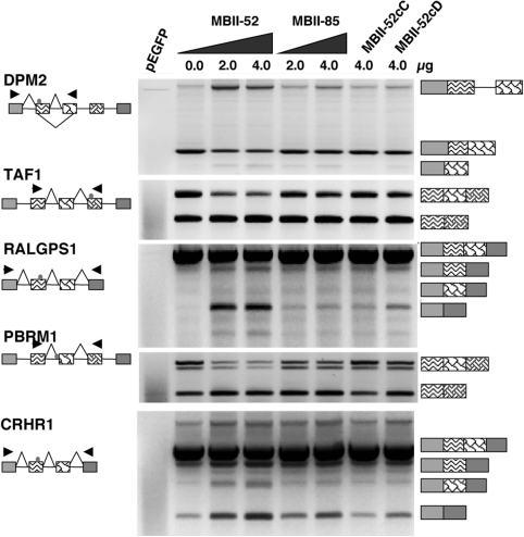 Figure 2.