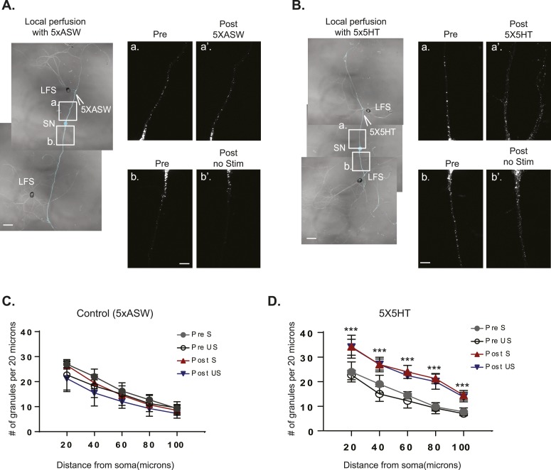 Figure 4—figure supplement 1.