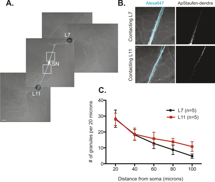 Figure 4.