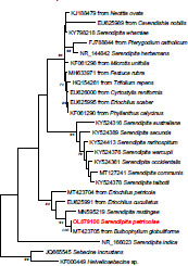 graphic file with name per-2023-48-8-i008.jpg