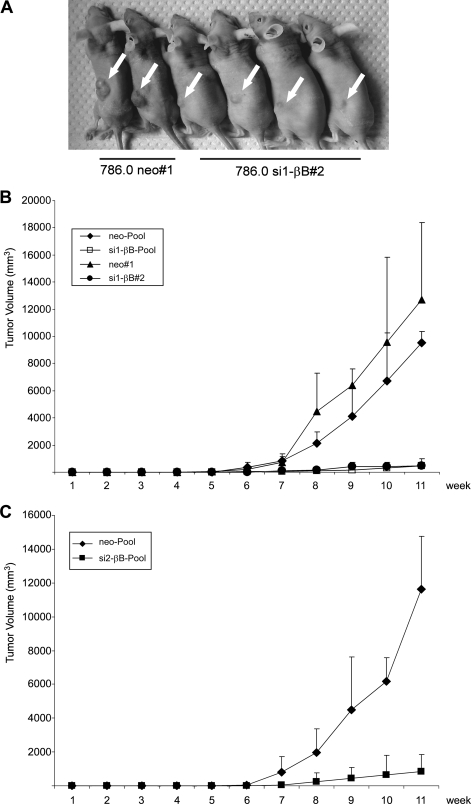 FIG. 7.