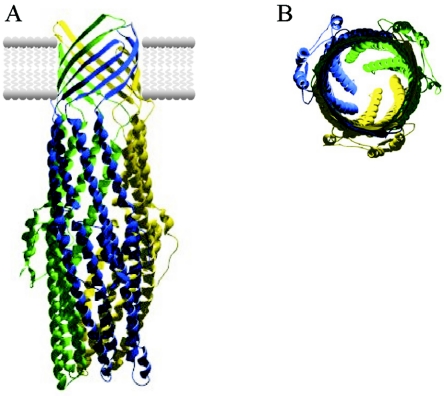 FIG. 2.