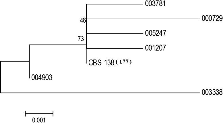 Fig. 1