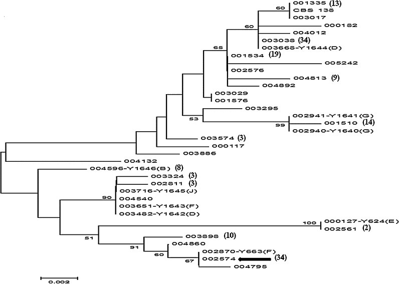 Fig. 2