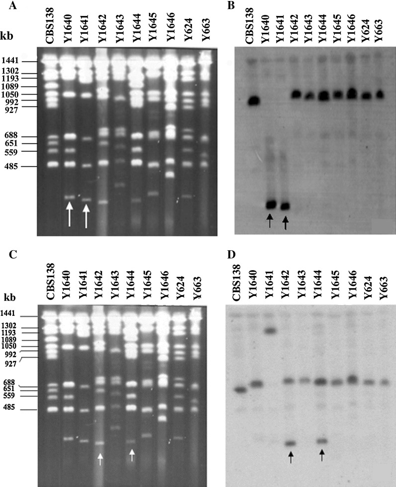 Fig. 5