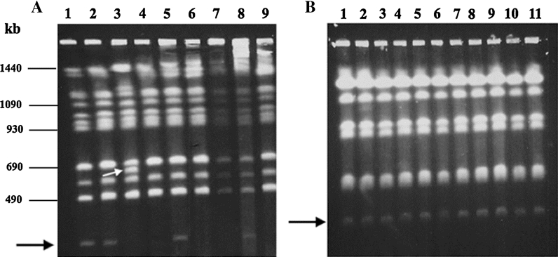 Fig. 6